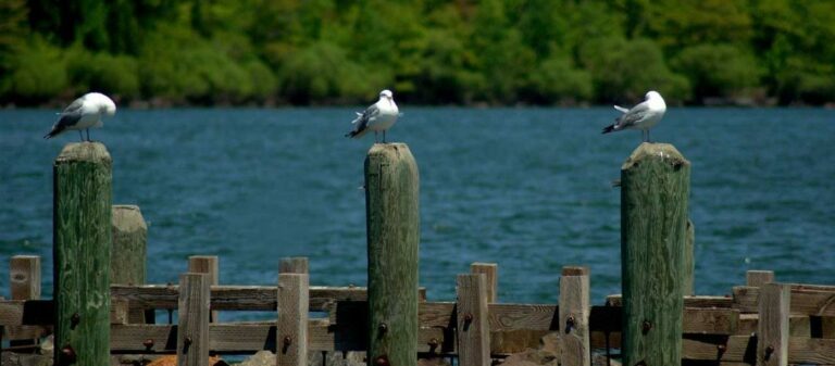 3 pijlers voor website optimalisatie SEO