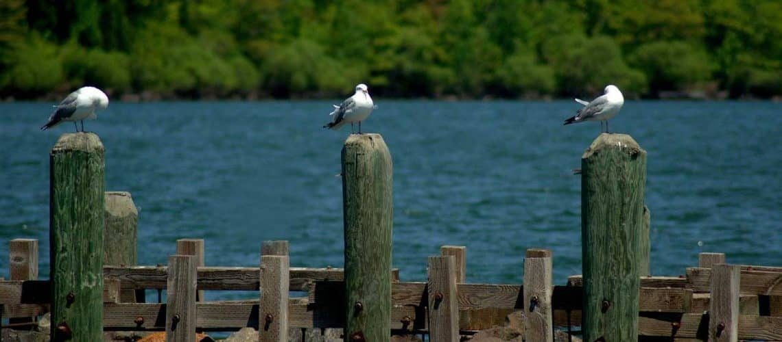 3 pijlers voor website optimalisatie SEO