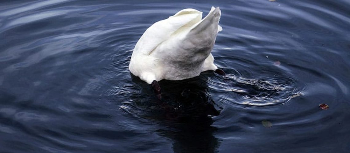 noindex, nofollow en disallow toepassen in rankmath