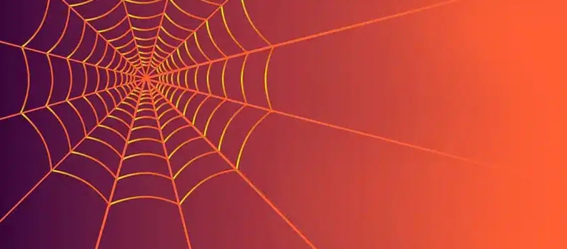 waar komt de naam website vandaan