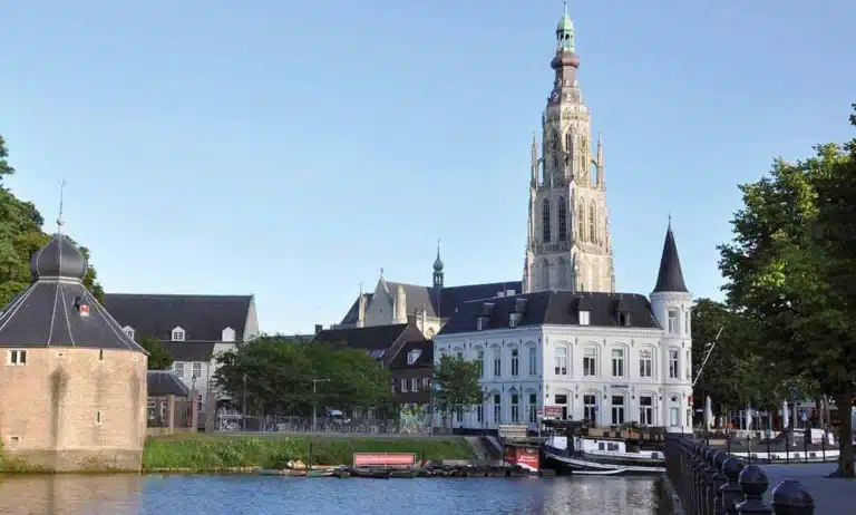 webdesigner breda website bouwer